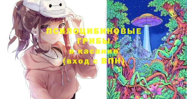 круглые Алексин