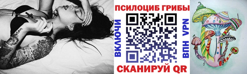 наркотики  Пласт  Галлюциногенные грибы GOLDEN TEACHER 